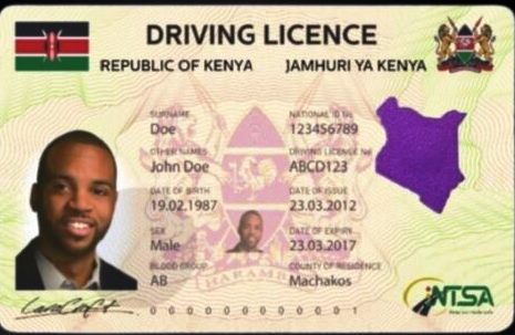 DRIVING LICENCE-ONE YEAR RENEWAL DRIVING LICENCE-ONE YEAR RENEWAL