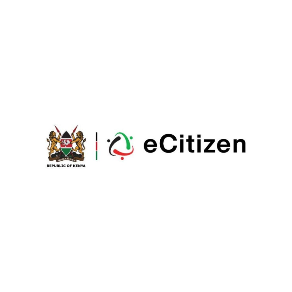 Ecitizen Ecitizen