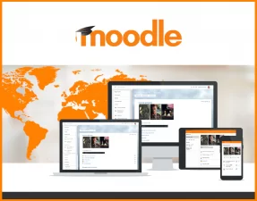 SERV2204-0000069 MOODLE LMS PROFESSIONAL INSTALLATION
